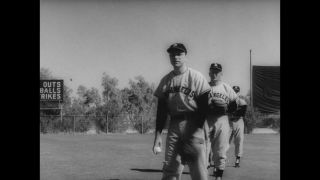 Link to Video | United States of America, Los Angeles, California