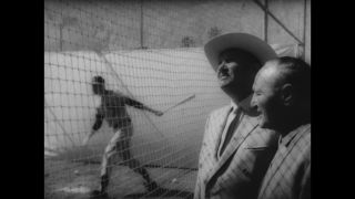 Link to Video | United States of America, Los Angeles, California