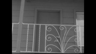 Link to Video | United States of America, Los Angeles, California