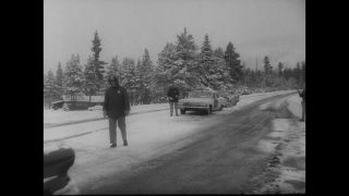 Link to Video | United States of America, Los Angeles, California