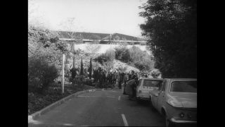 Link to Video | United States of America, Los Angeles, California