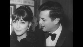 Link to Video | United States of America, Hollywood, Los Angeles, California