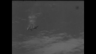 Link to Video