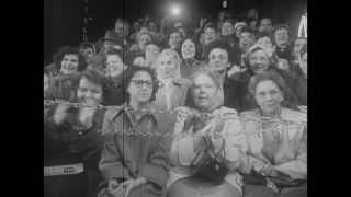 Link to Video | United States of America, Hollywood, Los Angeles, California