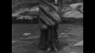 Link to Video | aviation pioneer, pioneer