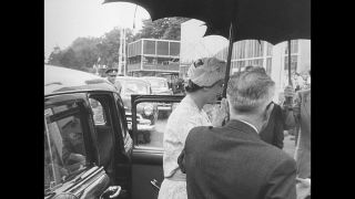 Link to Video | personality