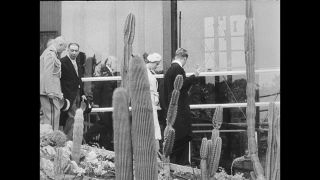 Link to Video | personality