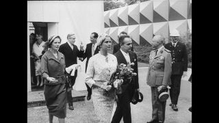 Link to Video | personality