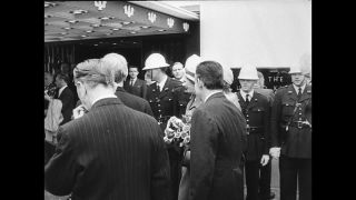 Link to Video | personality