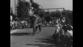 Link to Video | United States of America, Los Angeles, California