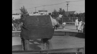 Link to Video | United States of America, Los Angeles, California