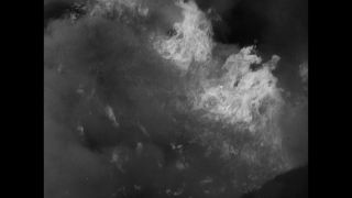 Link to Video | United States of America, Los Angeles, California