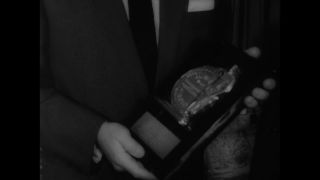 Link to Video | United States of America, Hollywood, Los Angeles, California