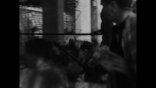 Link to Video | United States of America, Los Angeles, California