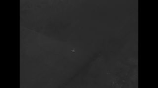 Link to Video | aviation pioneer, pioneer