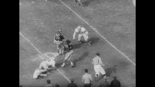 Link to Video | United States of America, Los Angeles, California