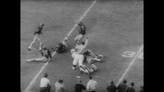 Link to Video | United States of America, Los Angeles, California