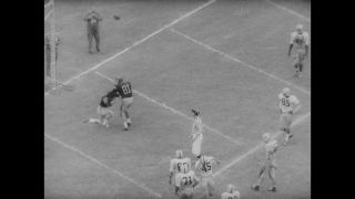 Link to Video | United States of America, Los Angeles, California