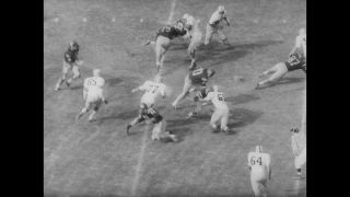 Link to Video | United States of America, Los Angeles, California