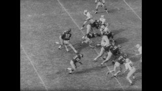 Link to Video | United States of America, Los Angeles, California