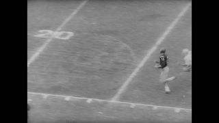 Link to Video | United States of America, Los Angeles, California