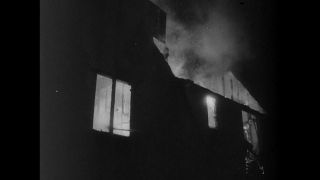 Link to Video | United States of America, Hollywood, Los Angeles, California