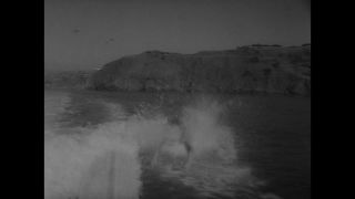 Link to Video | San Francisco, California