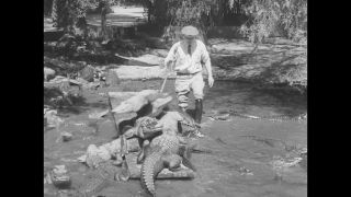 Link to Video | United States of America, Los Angeles, California