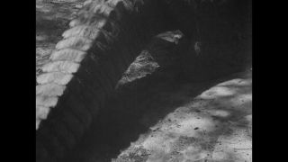 Link to Video | United States of America, Los Angeles, California