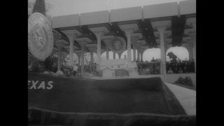 Link to Video | personality