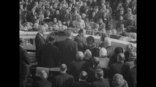 Link to Video | personality