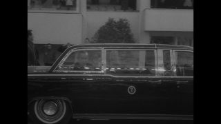 Link to Video | personality