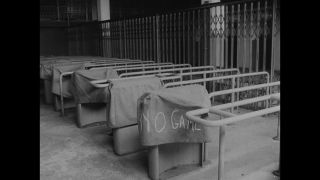 Link to Video | San Francisco, California