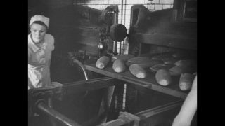 Link to Video | social equality, Gleichstellung, job training, vocational school, emancipation, woman, Arbeitswelt im Wandel – wie muss der Sozialstaat reformiert werden?, Arbeitsbedingung, women in the workforce