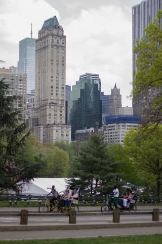 Link to Photo | skyscraper, Central Park, high-rise building, color, United States of America, building, day, New York City