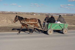 Link to Photo | Moldova, color, Ustia