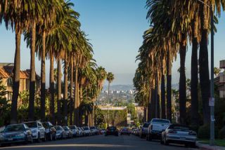 Link to Photo | photography, megacity, metropolis, color, United States of America, Los Angeles, California