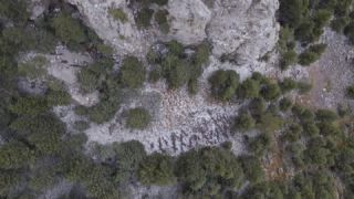 Link to Video | landscape, color, 4K resolution, 2020, Spain, Europe, Catalonia