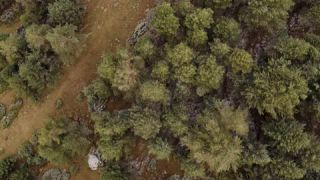 Link to Video | landscape, color, 4K resolution, 2020, Spain, Europe, Catalonia