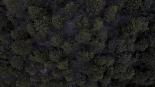 Link to Video | landscape, color, 4K resolution, 2020, Spain, Europe, Catalonia