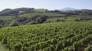 Link to Video | Central Italy, May, tourist destination, Tuscany, spring, Full High Definition, color, 2020, Southern Europe, tourism region, Italy, Europe