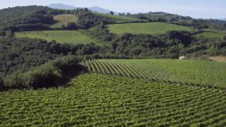 Link to Video | Central Italy, May, tourist destination, Tuscany, spring, Full High Definition, color, 2020, Southern Europe, tourism region, Italy, Europe