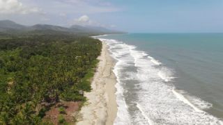 Link to Video | Seychelles, tropical forest, sea, sand beach, color, 4K resolution, surf, beach, tropics, forest, shore, aerial shot, La Digue