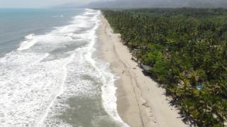 Link to Video | Seychelles, tropical forest, sea, sand beach, color, 4K resolution, surf, beach, tropics, forest, shore, aerial shot, La Digue