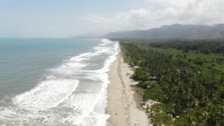 Link to Video | Seychelles, tropical forest, sea, sand beach, color, 4K resolution, surf, beach, tropics, forest, shore, aerial shot, La Digue
