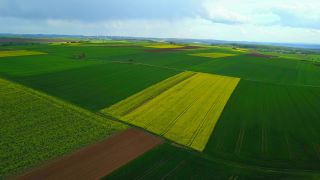 Link to Video | landscape, agriculture, bird's-eye view, Rhineland-Palatinate, landscape element, Germany, vegetation, landform, landscape of agriculture, aerial shot, Fisch, nature, Saargau