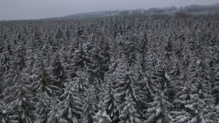Link zum Video | Baum, Winter, Hunsrück, Kalt, Hochwald, Wald, Luftaufnahme, Greimerath