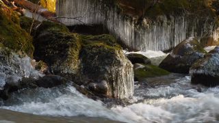 Link to Video | Rhineland-Palatinate, winter, Irreler Wasserfälle, Eifel, Germany, ice, season, Kalt, watercourse, shore, stream, icicle, Irrel, natural watercourse, brook, nature, sculpture