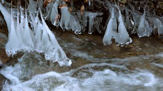 Link to Video | Rhineland-Palatinate, winter, Irreler Wasserfälle, Eifel, Germany, ice, season, Kalt, watercourse, shore, stream, icicle, Irrel, natural watercourse, brook, nature, sculpture