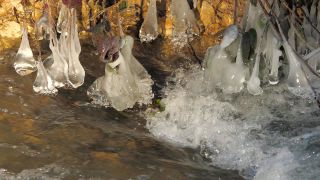 Link to Video | Rhineland-Palatinate, winter, Irreler Wasserfälle, Eifel, Germany, ice, season, Kalt, watercourse, shore, stream, icicle, Irrel, natural watercourse, brook, nature, sculpture